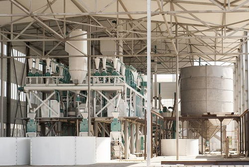 面粉机械制造厂家河南中瑞粮油机械详述面粉加工工艺流程及设备